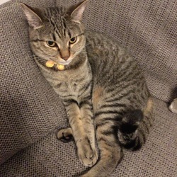 トライアル9日目終了