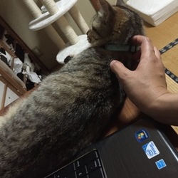 雨上がりの土曜日
