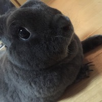 ルーシー