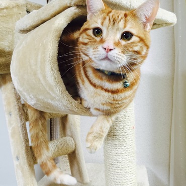 マイケルの写真