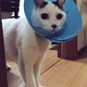の写真
