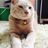 の写真