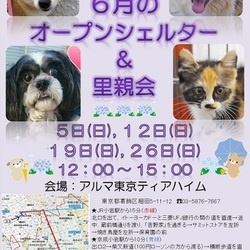 ティアハイムオープンシェルター里親会 サムネイル2