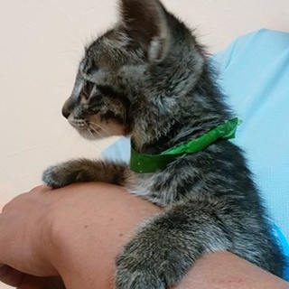 可愛い元気な子