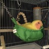 コザクラインコ(現在交渉中) サムネイル3