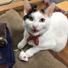 獲物とアポちゃん