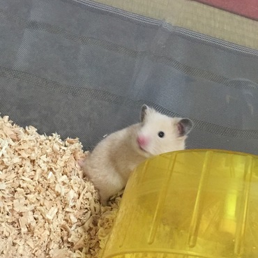 の写真