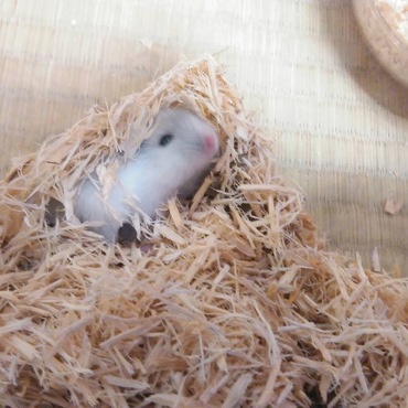の写真