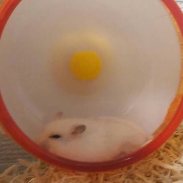 の写真