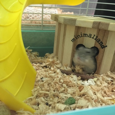の写真