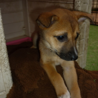 小さいさっちゃん！！