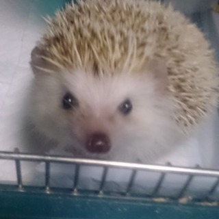 たくさんのご応募ありがとうございました！！