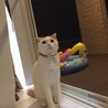 の写真