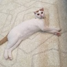 の写真