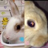  さん