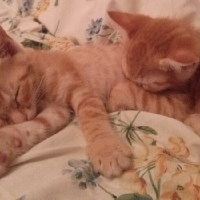 jun.tのカバー写真