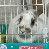 ヒデ