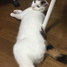 お尻周りこんな感じです