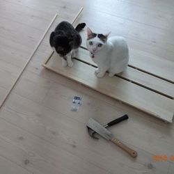 「トムさん、ロフトをプチ改造　後篇」サムネイル1