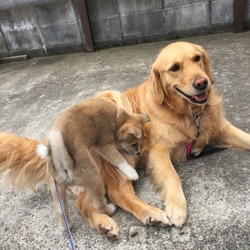 遊んで遊んで遊んで