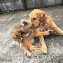 「遊んで遊んで遊んで」サムネイル2