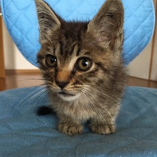 ありがとうございました✨