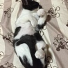 の写真