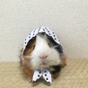 似合うかな