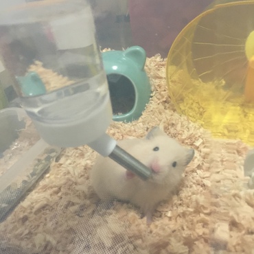 の写真