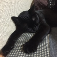 葉月