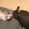 の写真
