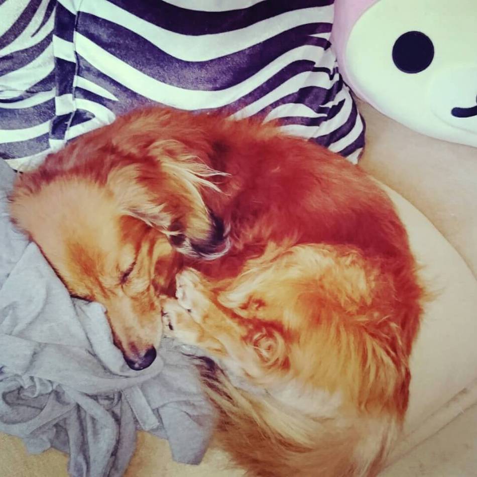 そらのカバー写真