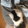 我が家にきた日