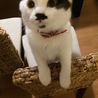 の写真