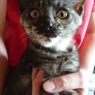 宮城に来れる方☆３月生☆トイレできます！