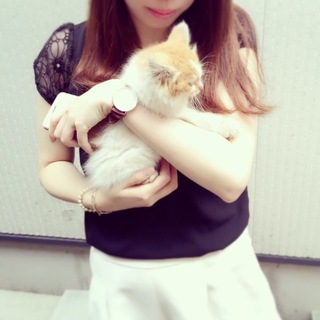 ふわふわ子猫ちゃん