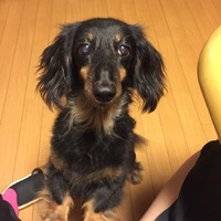 MiRu
