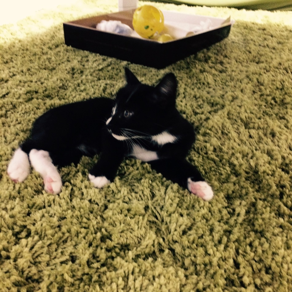 ちちのカバー写真