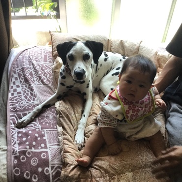 姪っ子と愛犬のシア