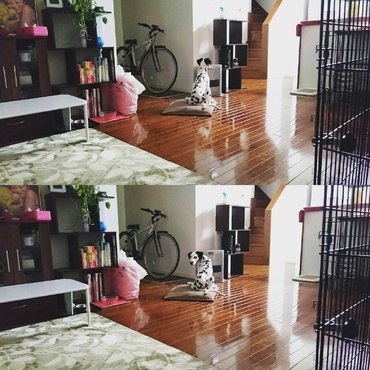 冬、ストーブ占領されました！笑