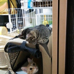 べろんべろん  part2♪