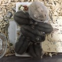 ☆ありがとうございました❗️☆