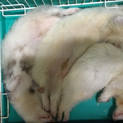 今日は雨上がり♪