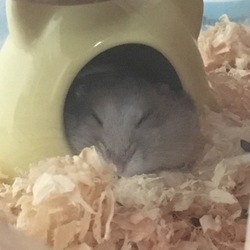 悶絶だ〜