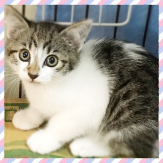 2か月半くらい♪小春ちゃん