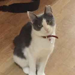 いってらっしゃいができました！