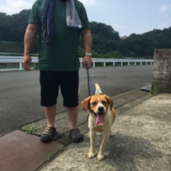 トライアル決定