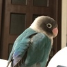 の写真