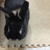 ネロ