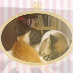 少しずつ仲良しに♥